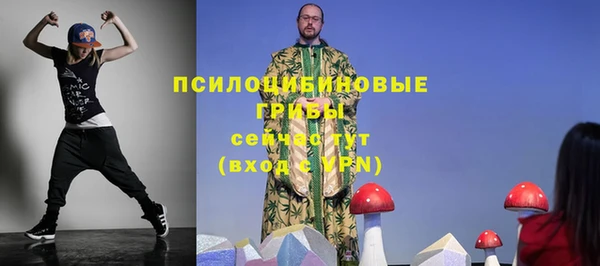 метадон Пересвет